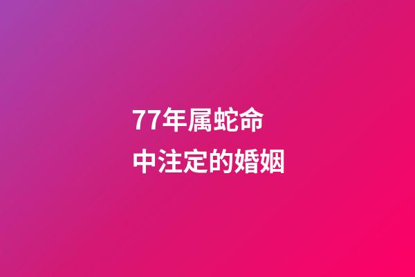 77年属蛇命中注定的婚姻(今年“桃花旺”的生肖)-第1张-观点-玄机派