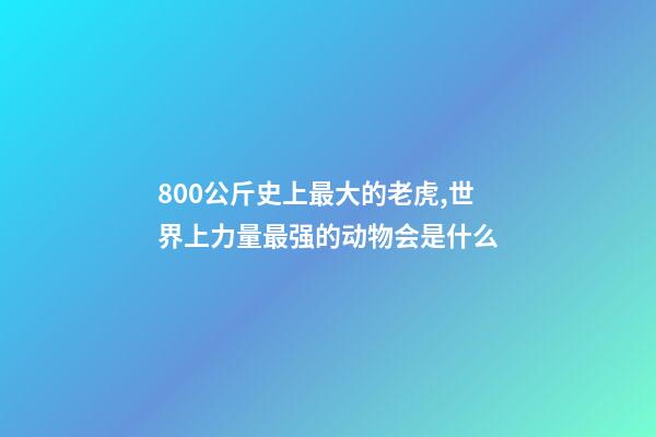 800公斤史上最大的老虎,世界上力量最强的动物会是什么-第1张-观点-玄机派