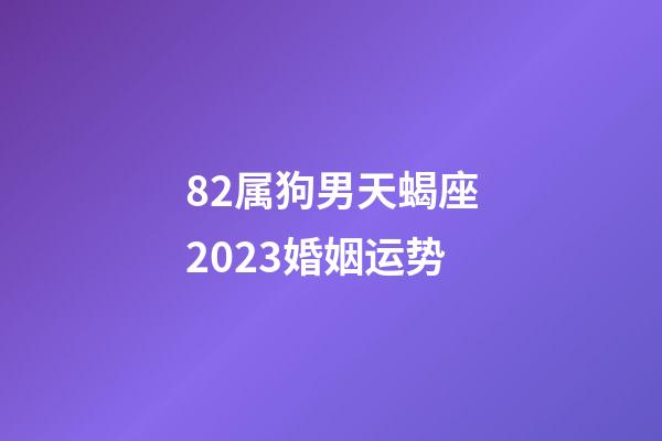 82属狗男天蝎座2023婚姻运势-第1张-星座运势-玄机派