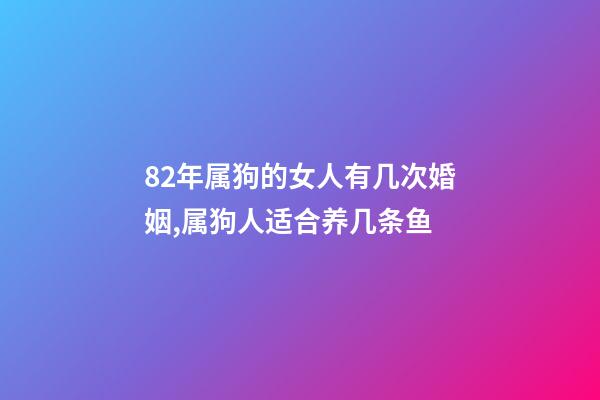 82年属狗的女人有几次婚姻,属狗人适合养几条鱼-第1张-观点-玄机派