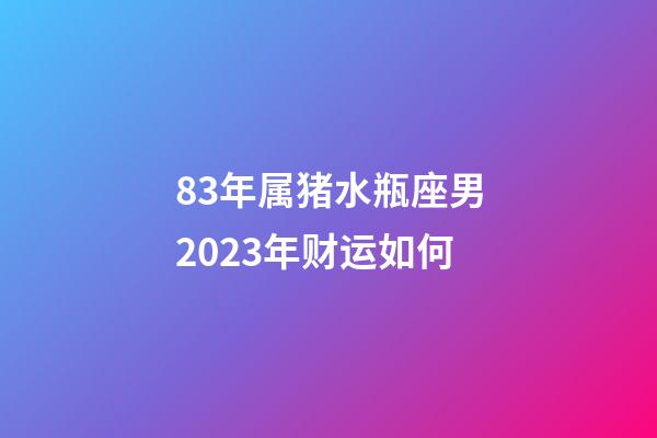 83年属猪水瓶座男2023年财运如何-第1张-星座运势-玄机派