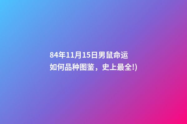 84年11月15日男鼠命运如何(124种常见仙人掌(仙人球)品种图鉴，史上最全!)-第1张-观点-玄机派
