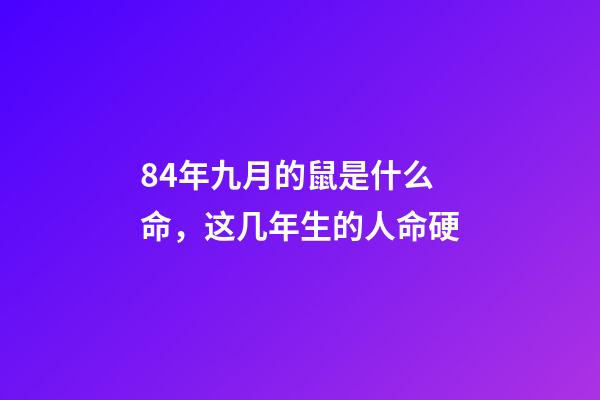 84年九月的鼠是什么命，这几年生的人命硬-第1张-观点-玄机派