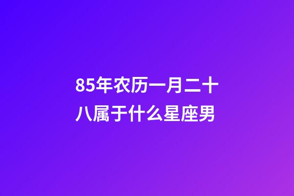 85年农历一月二十八属于什么星座男-第1张-星座运势-玄机派