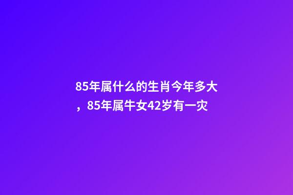 85年属什么的生肖今年多大，85年属牛女42岁有一灾-第1张-观点-玄机派
