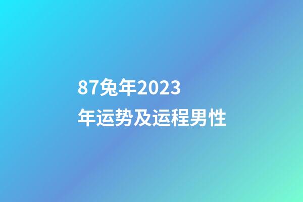 87兔年2023年运势及运程男性