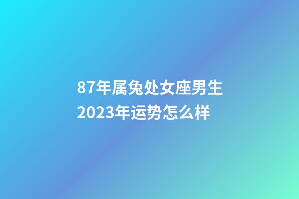 87年属兔处女座男生2023年运势怎么样-第1张-星座运势-玄机派