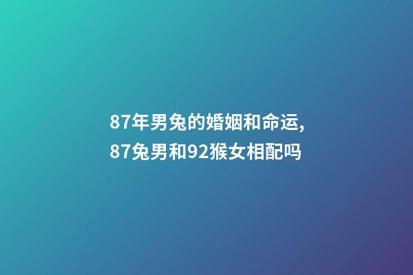 87年男兔的婚姻和命运,87兔男和92猴女相配吗-第1张-观点-玄机派