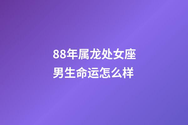 88年属龙处女座男生命运怎么样-第1张-星座运势-玄机派