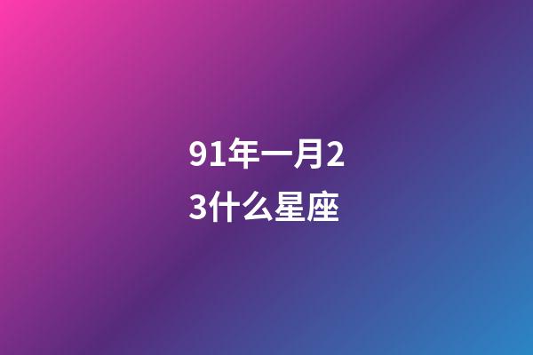 91年一月23什么星座-第1张-星座运势-玄机派