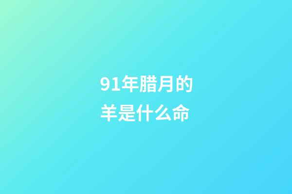 91年腊月的羊是什么命(惨绿少年、空心汤圆、酒店猛狗……这些竟然都是成语？考考孩子，认识几个)-第1张-观点-玄机派