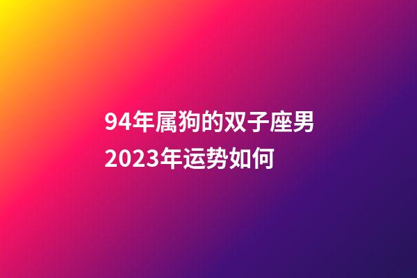 94年属狗的双子座男2023年运势如何-第1张-星座运势-玄机派