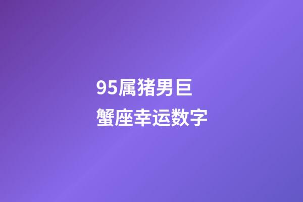 95属猪男巨蟹座幸运数字-第1张-星座运势-玄机派