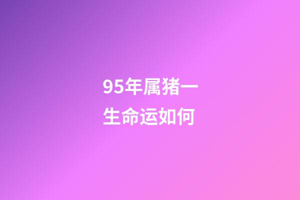 95年属猪一生命运如何(95年属猪的中年妇女的内心独白)-第1张-观点-玄机派