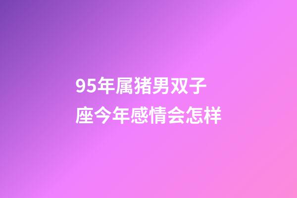 95年属猪男双子座今年感情会怎样