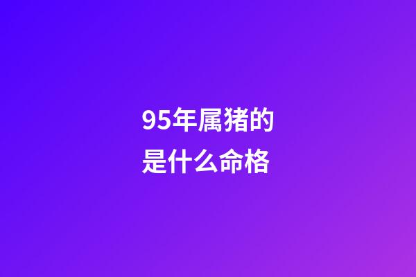 95年属猪的是什么命格(未来三年财源广进功成名就的四大生肖)-第1张-观点-玄机派