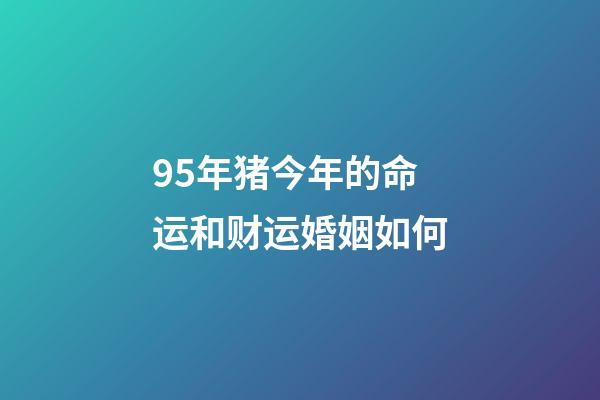 95年猪今年的命运和财运婚姻如何(未来15天,财运八方来,钱财大棒,贵人找上门的三属相)-第1张-观点-玄机派