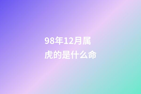 98年12月属虎的是什么命(生肖属猪人的属相婚配表)-第1张-观点-玄机派