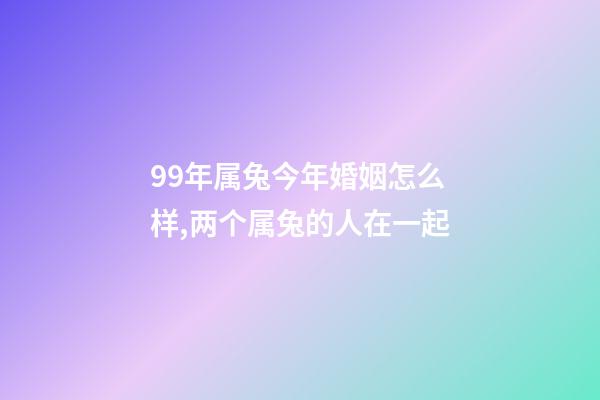 99年属兔今年婚姻怎么样,两个属兔的人在一起-第1张-观点-玄机派