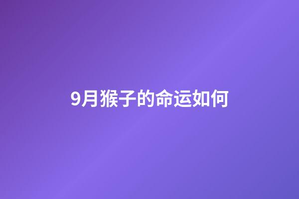 9月猴子的命运如何(印度爆发“人猴大战”，2月大婴儿被群猴淹死，猴子为何恨人类？)-第1张-观点-玄机派