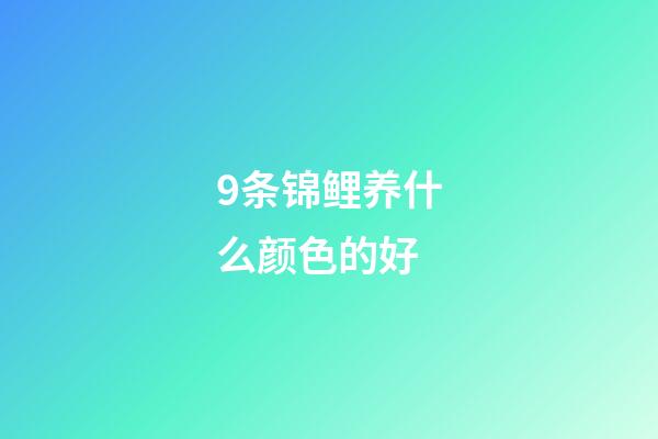 9条锦鲤养什么颜色的好