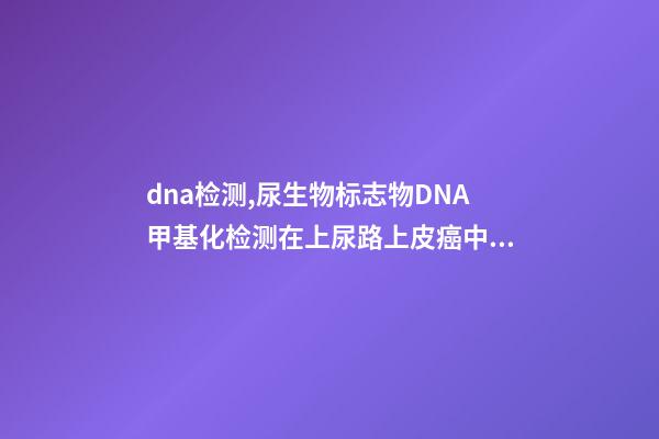 dna检测,尿生物标志物DNA甲基化检测在上尿路上皮癌中的价值-第1张-观点-玄机派