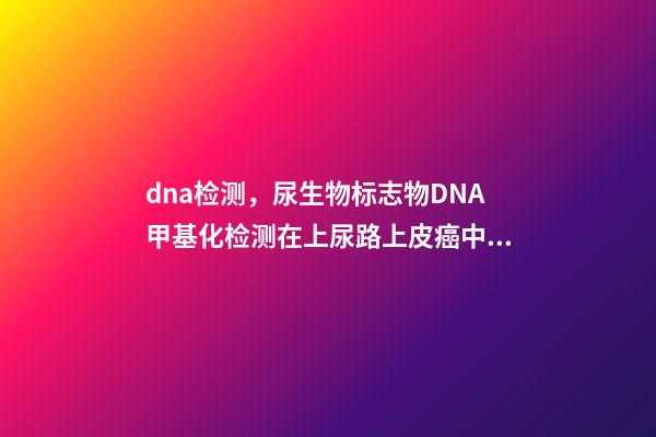 dna检测，尿生物标志物DNA甲基化检测在上尿路上皮癌中的价值-第1张-观点-玄机派