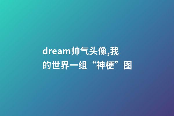 dream帅气头像,我的世界一组“神梗”图-第1张-观点-玄机派