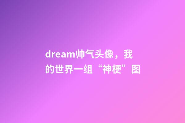 dream帅气头像，我的世界一组“神梗”图-第1张-观点-玄机派
