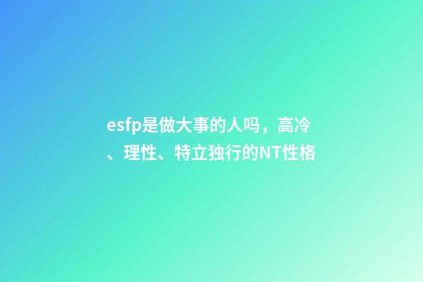 esfp是做大事的人吗，高冷、理性、特立独行的NT性格-第1张-观点-玄机派
