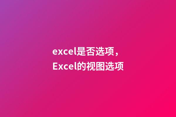excel是否选项，Excel的视图选项-第1张-观点-玄机派