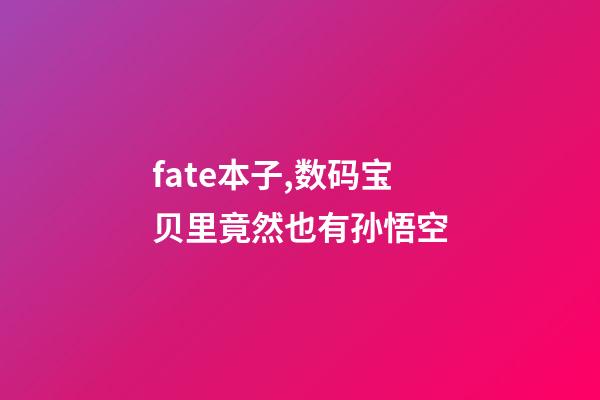 fate本子,数码宝贝里竟然也有孙悟空-第1张-观点-玄机派