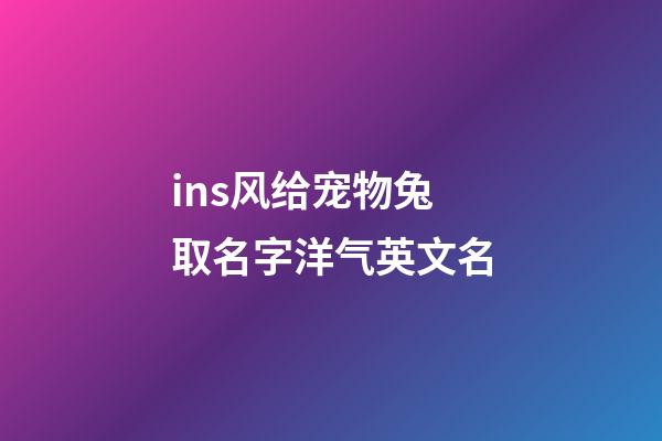 ins风给宠物兔取名字洋气英文名
