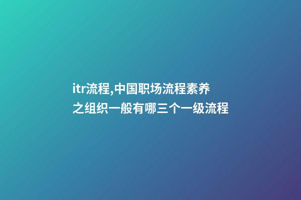 itr流程,中国职场流程素养之组织一般有哪三个一级流程(第0009篇)-第1张-观点-玄机派
