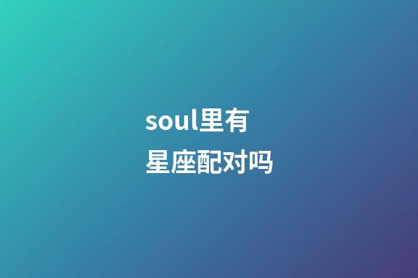 soul里有星座配对吗-第1张-星座运势-玄机派