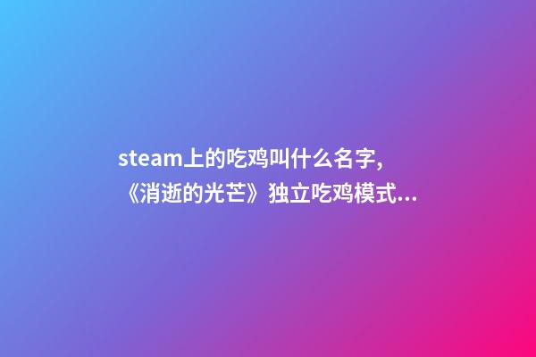 steam上的吃鸡叫什么名字,《消逝的光芒》独立吃鸡模式Steam抢先版发售!PVEPVP结合新玩法-第1张-观点-玄机派