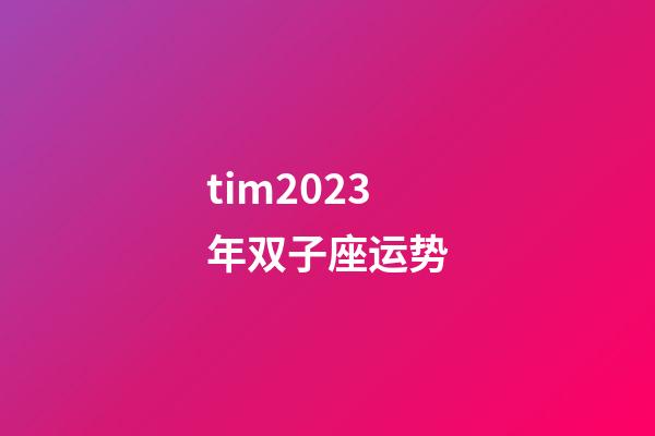 tim2023年双子座运势-第1张-星座运势-玄机派