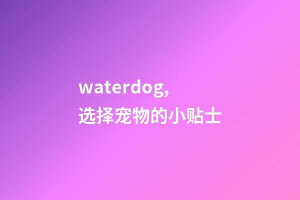 waterdog,选择宠物的小贴士-第1张-观点-玄机派