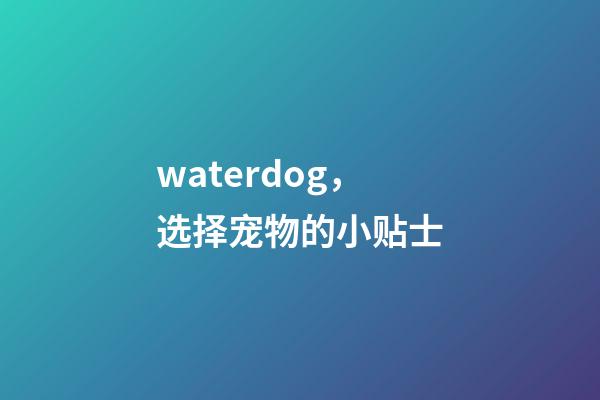 waterdog，选择宠物的小贴士-第1张-观点-玄机派