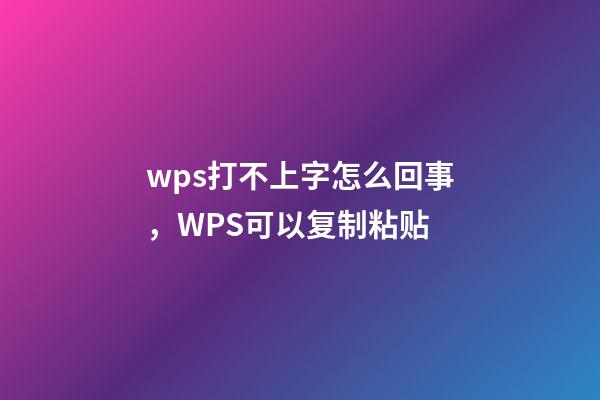 wps打不上字怎么回事，WPS可以复制粘贴-第1张-观点-玄机派