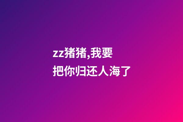 zz猪猪,我要把你归还人海了-第1张-观点-玄机派
