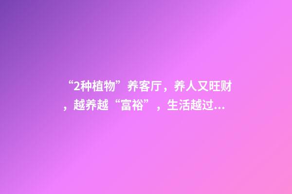 “2种植物”养客厅，养人又旺财，越养越“富裕”，生活越过越好