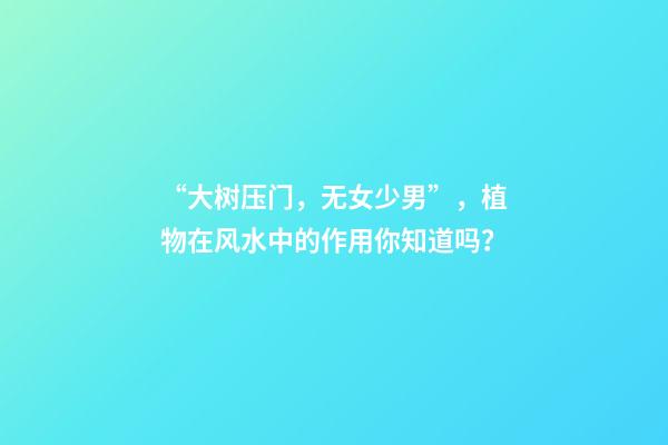 “大树压门，无女少男”，植物在风水中的作用你知道吗？