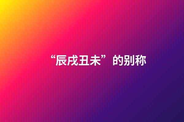 “辰戌丑未”的别称