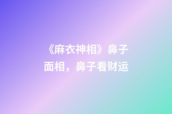 《麻衣神相》鼻子面相，鼻子看财运