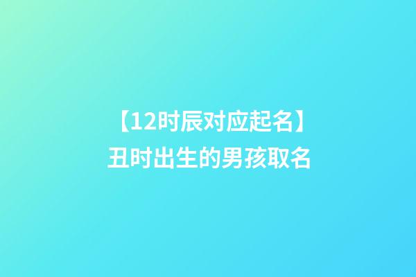 【12时辰对应起名】丑时出生的男孩取名