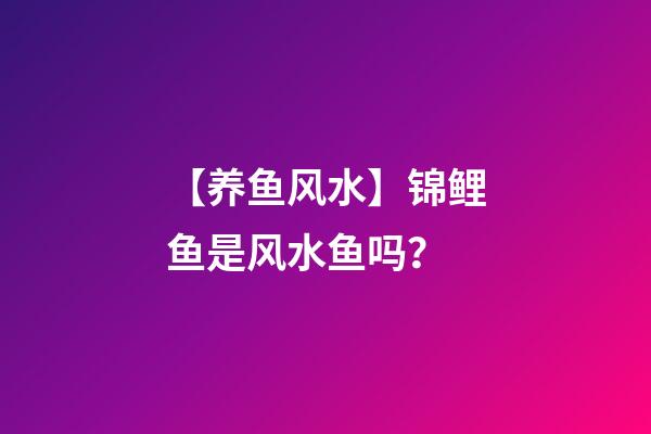 【养鱼风水】锦鲤鱼是风水鱼吗？