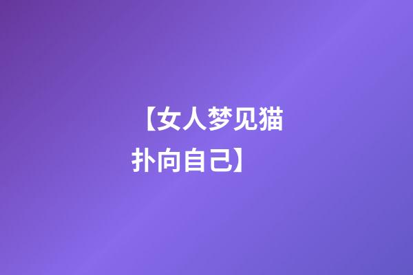 【女人梦见猫扑向自己】