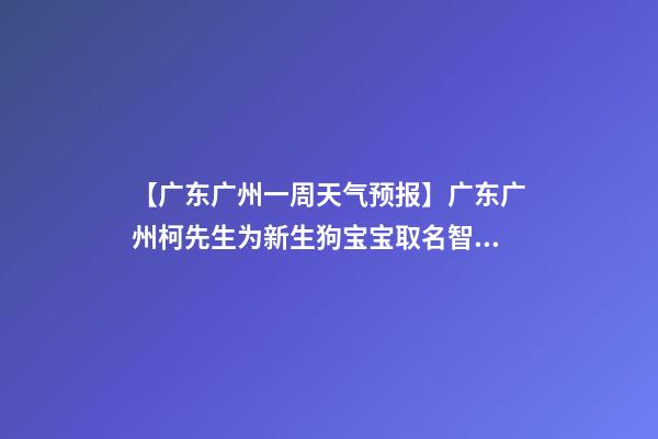 【广东广州一周天气预报】广东广州柯先生为新生狗宝宝取名智慧型套餐-第1张-公司起名-玄机派