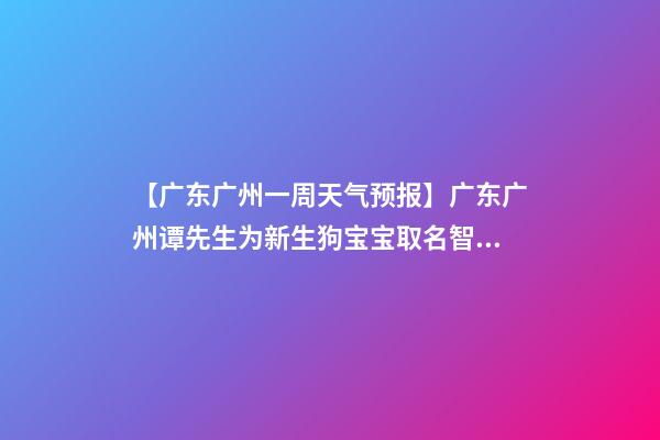 【广东广州一周天气预报】广东广州谭先生为新生狗宝宝取名智慧型套餐-第1张-公司起名-玄机派